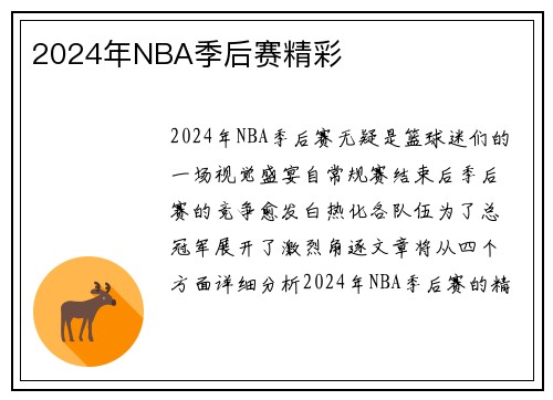 2024年NBA季后赛精彩